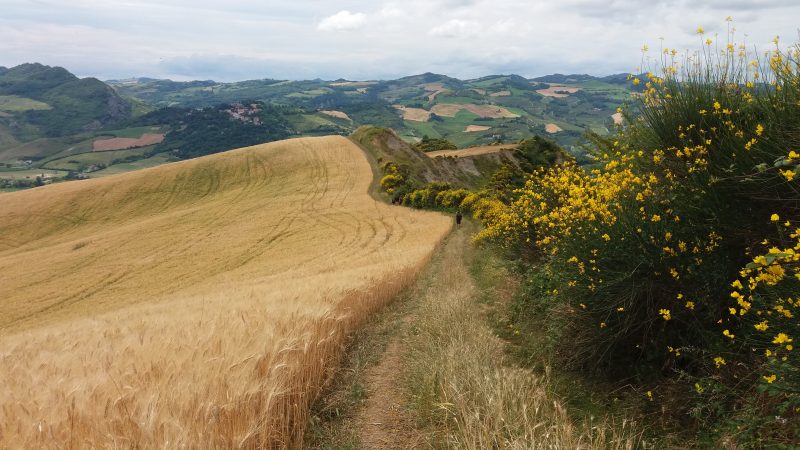 Cammino di Sant'Antonio - Monte Vanedola - Associazione Cammino Sant'Antonio