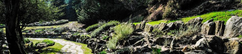 Piemonte - Parco Botanico Alpino, Mottarone, Prossimi Passi