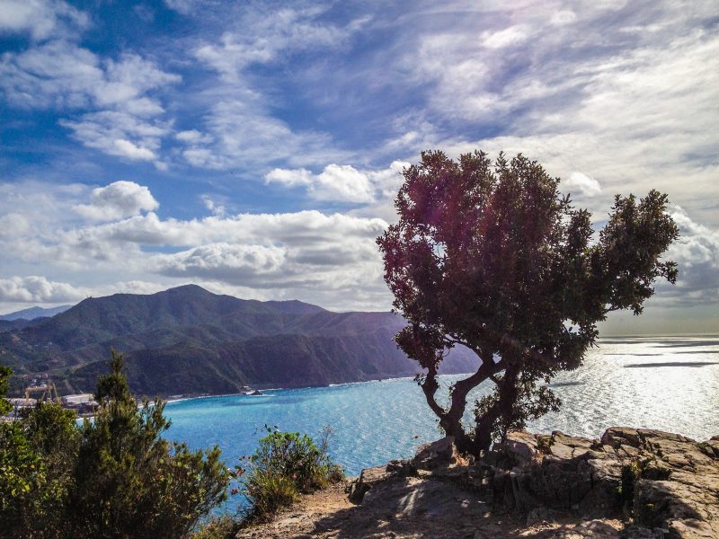 Sentiero Liguria - Baia di Riva Trigoso