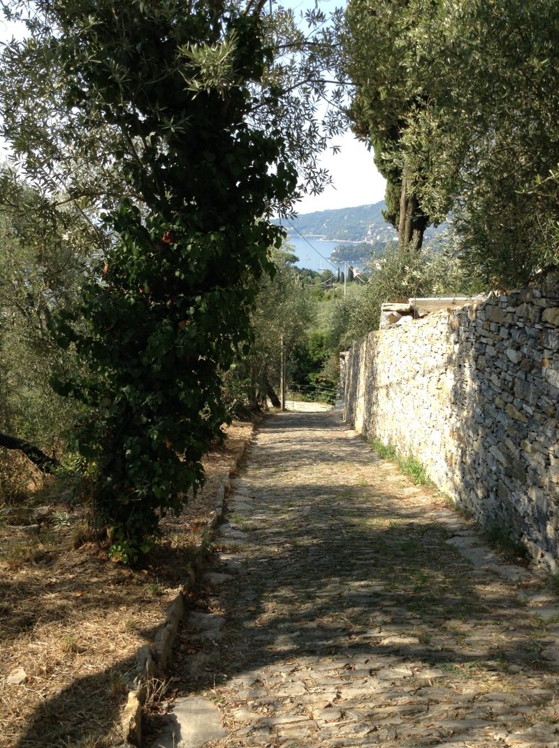 Sentiero Liguria