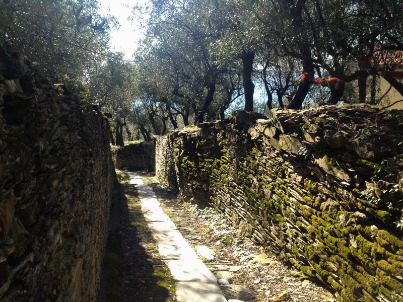 Sentiero Liguria - Mulattiera tra Santa Giulia e Cavi di Lavagna