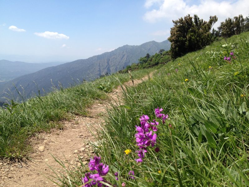 Sentiero Liguria - Passo Gava