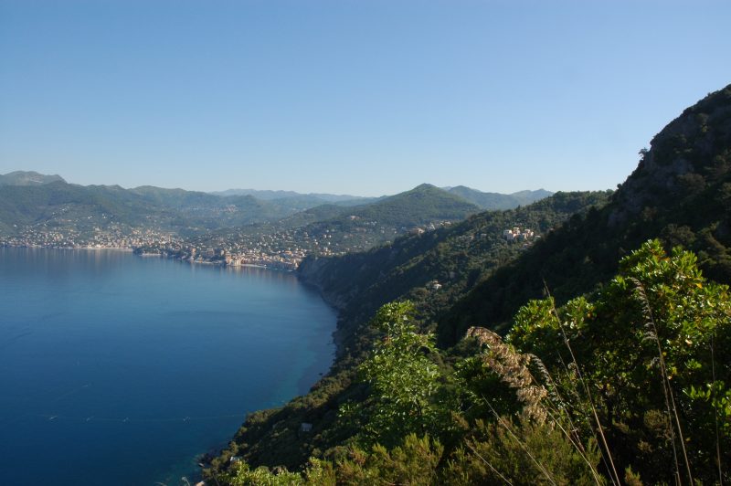 Sentiero Liguria - Vista  su Golfo Paradiso